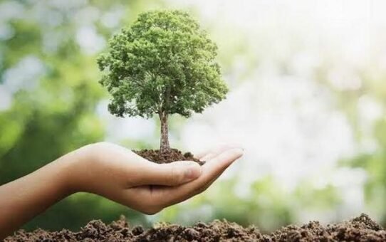 المحافظة على البيئة