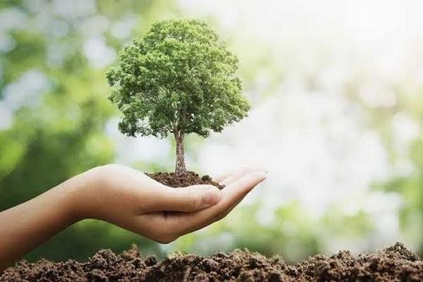 المحافظة على البيئة